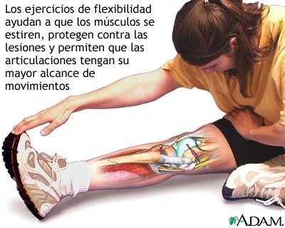 MODIFICA Y FAVORECE: recuperar ostensiblemente la flexibilidad, frente a la rigidez que sería la perdida de capacidad natural de los tejidos