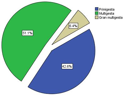 El 51.1% (48) de las gestantes hospitalizadas en el Hospital II-2 de Tarapoto, son multigestas, el 42.6% (40) primigestas y el 6.4% (6) son gran multigestas.