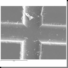 GRUPO DE INMUNOELECTROANÁ Microchips de Electroforesis Capilar Sustrato vidrio D: Desecho Deposición