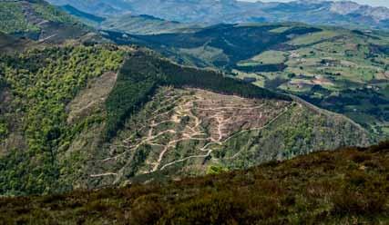 09 Los restos de bosques originarios en Ordunte son hayedos acidófilos, rebollares y alisedas, que constituyen hábitats de interés comunitario.