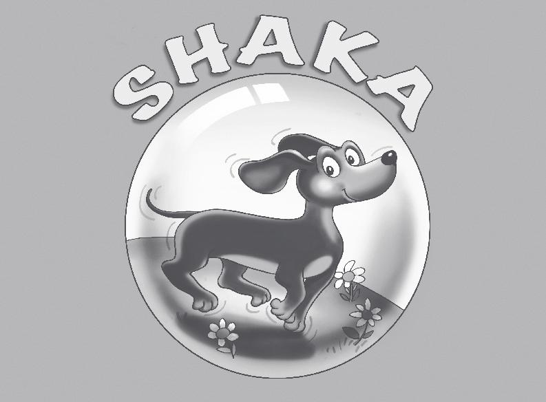 Cómo se trabaja el Programa Shaka?