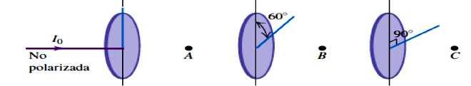5) Explique, la importancia de colocar un fusible y un breaker en un circuito eléctrico. 6) Compare la formación de imágenes por una cámara fotográfica y el ojo.