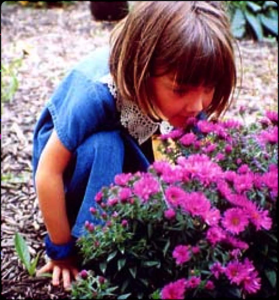 I crawl through my mother s garden smelling her spring flowers.