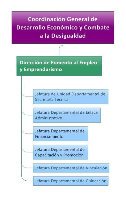 Dirección de Fomento al Empleo y Emprendurismo