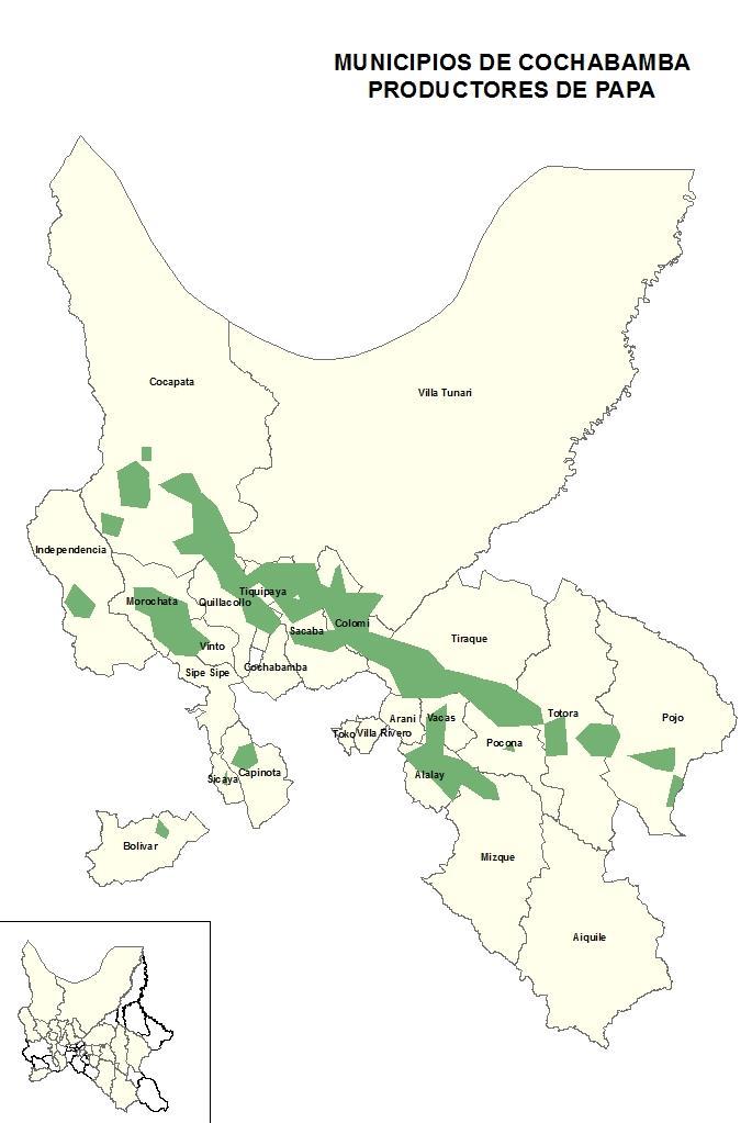 11. MUNICIPIOS DE CHOCHABAMBA Los municipios productores de papa, que se encuentran en el departamento de Cochabamba son: Cocapata, Villa Tunari, Independencia, Tiquipaya, Morochata, Quillacollo,