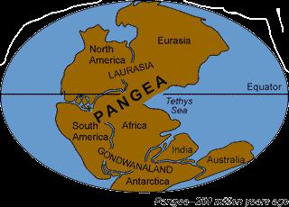 tras muchos años de movimiento se forma Pangea al final del