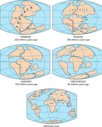 5.4. Era secundaria. Mesozoico Se fragmenta Pangea y surgen los continentes y océanos actuales.