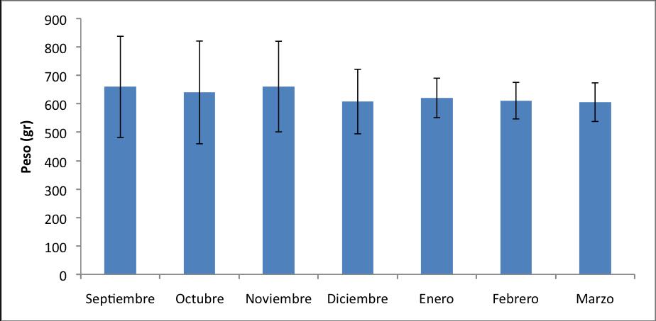 Figura 22. Variación mensual del peso corporal promedio de M. spinosissimus en el Archipiélago de San Bernardo en el período de estudio.