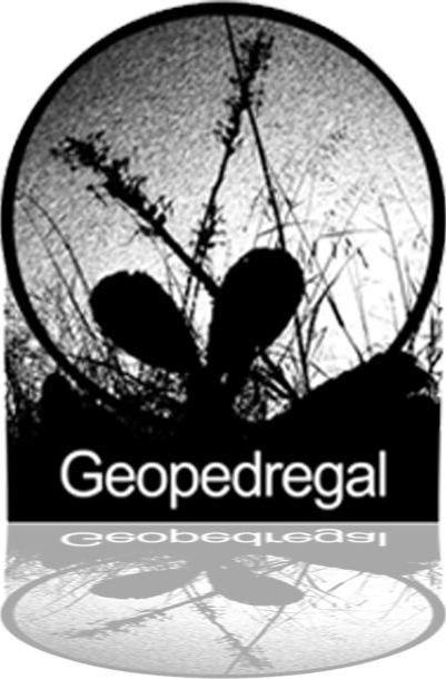 GEOPEDREGAL Logo diseñado a partir de una fotografía tomada en el sitio mostrando dos cladodios de Opuntia y dos escapos de Manfreda circunscritos por una esfera que