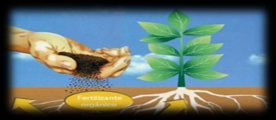 fertilidad del suelo - Realizar la nutrición del