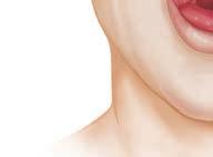 nariz de la derecha. Los cornetes nasales son crestas en las vías nasales.