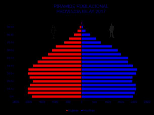 La silueta de la pirámide se observa desproporciones que puede mostrar la pérdida de población de 15 a 19 años como consecuencia de la emigración de sus integrantes más en hombres que mujeres, que se