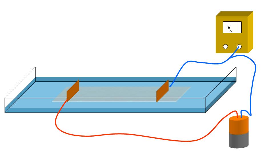 4. Monta los electrodos planos de forma paralela sobre uno de los ejes del papel milimetrado de tal forma que el otro eje quede perpendicular. 5.