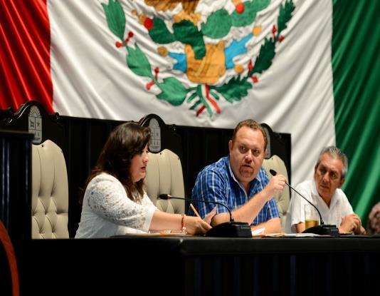 atribuciones, modifique las tarifas domésticas de energía eléctrica en los municipios de Benito Juárez y Cozumel, por unas más justas y que fortalezcan la economía familiar.