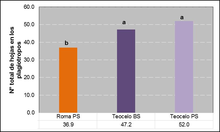 6.7. Número total de hojas de los plagiotropos (6,10 y 15 ) Se encontró una diferencia estadística en el número total de hojas de los plagiotropos solamente para el factor parcela (Cuadro 11).