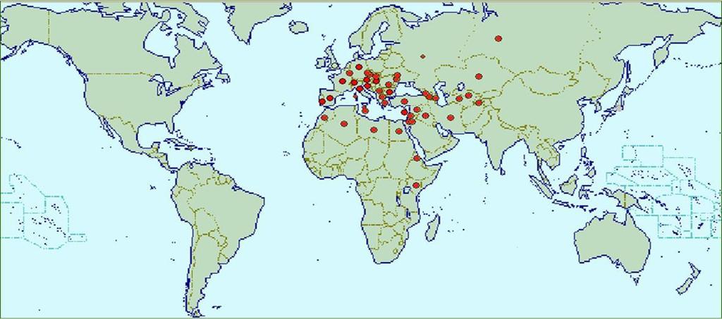 Distribución mundial de Lobesia botrana: Octubre 2009 Abril 2008 Marzo 2010 Europa Alemania, Austria, Bulgaria, Chipre, España, Finlandia, Francia, Federación Rusa, Hungría, Inglaterra y Gales,