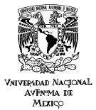 UNIVERSIDAD NACIONAL AUTONOMA DE MEXICO PROGRAMA DE MAESTRIA Y DOCTORADO EN