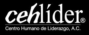 Link: http://www.cehlider.org.mx/ Proyecto: CE