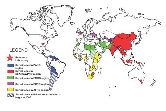 Global Rotavirus Surveillance AFRO: African Region SEARO/WPRO: Southeast Asian Region/West Pacific Region EMRO: Eastern