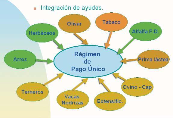 I. PAGO ÚNICO Y AYUDAS