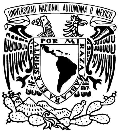 UNIVERSIDAD NACIONAL AUTÓNOMA DE MÉXICO CENTRO DE INVESTIGACIONES Y ESTUDIOS DE GÉNERO X