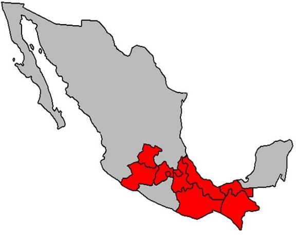 El embotellador más grande de México KOF es el jugador más integrado en la industria de bebidas, es #1 en Refrescos y