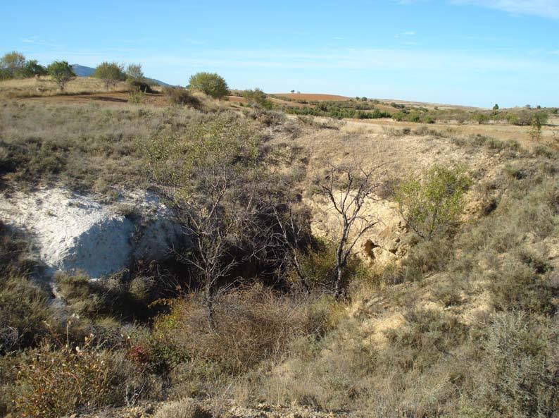 8 En este lugar hay una mineralización filoniana, encajada entre los materiales del Ordovícico.