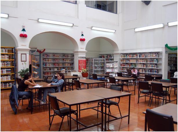 Zona bibliotecaria de consulta