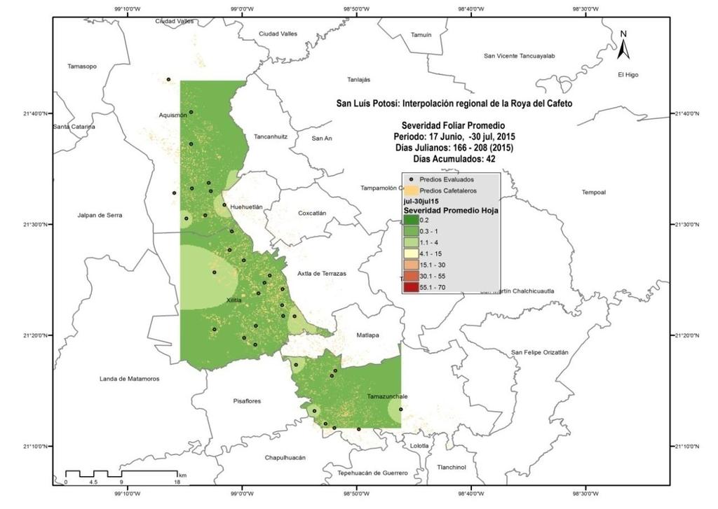 San Luís Potosí. La severidad promedio foliar en las regiones cafetaleras atendidas por el PVEF, se ubica en 1.2%. Los tres municipios reportaron niveles menores a 1.