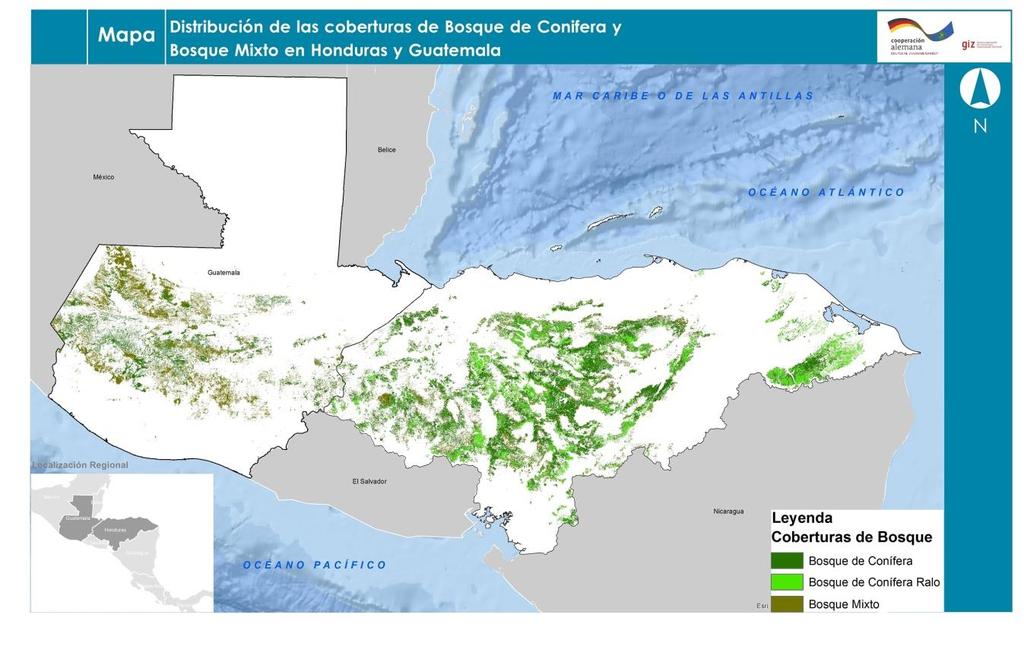 RESULTADOS: COBERTURA DE BOSQUE RESULTADOS: HONDURAS Cobertura forestal: Cobertura Superficie Ha % Bosque Mixto 284,471 13% Bosque de Conífera Denso 1.