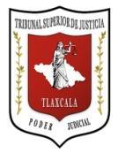 Declaración Patrimonial Inicial / de Conclusión Contraloría del Poder Judicial Contraloría del Poder Judicial del Estado de Tlaxcala.