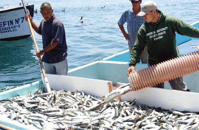 Disminución del esfuerzo pesquero En 2014 se ejercieron 21.