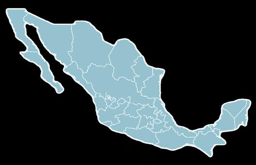 DATOS GENERALES NACIONALIDAD Mexicana 95.5% Mexicana 95.5% Extranjera 4.
