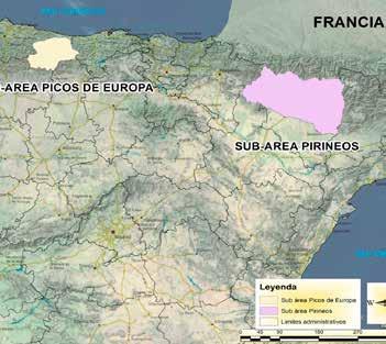 ÁREA DE TRABAJO ÁREA DE TRABAJO Los trabajos se han realizado en el ámbito de aplicación del Plan de Recuperación del Quebrantahuesos en Aragón (Decreto 45/2003) y en el Parque Nacional de los Picos