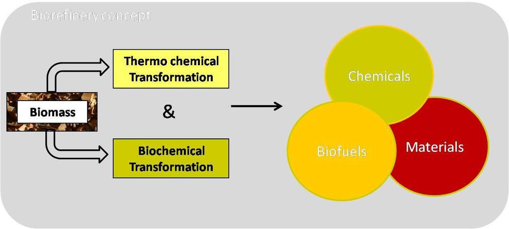BIOTECNOLOGÍA MICROBIANA EN BIOREFINERÍAS Degradación de biopolímeros en la biorrefinería Microorganismsos modificados para mejorar capacidad degradativa de biopolímeros y/o