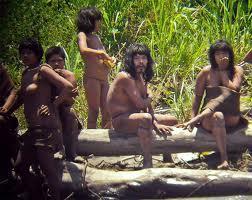 y avistamiento de tribus amazónicas no contactadas.
