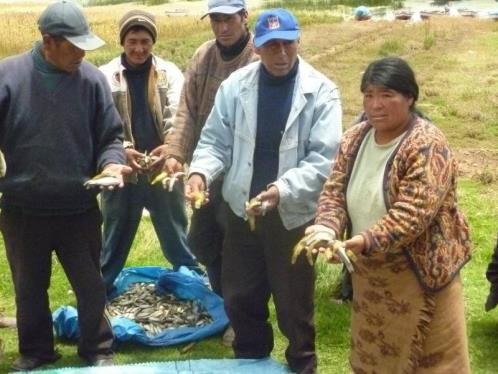 residuos desde la ciudad de Puno