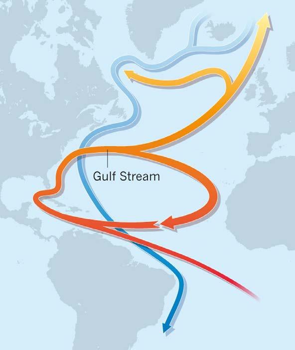 Motivación: Datos Paleoclimáticos Los calentamientos abruptos se desencadenarían a través de una intensificación en la Circulación Meridional del Atlántico (AMOC) AMOC: Rama