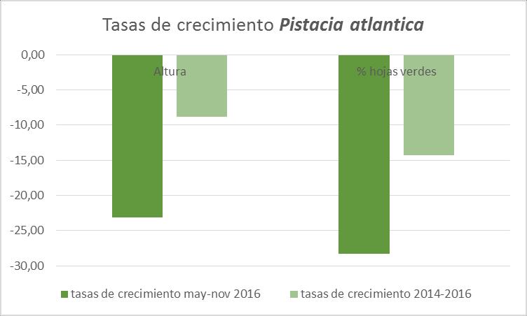 Ilustración 17. Tasas de crecimiento de Pistacia atlantica Pistacia atlantica presenta tasas globales (2014-2016) de crecimiento negativas en altura y en porcentaje de hojas verdes.