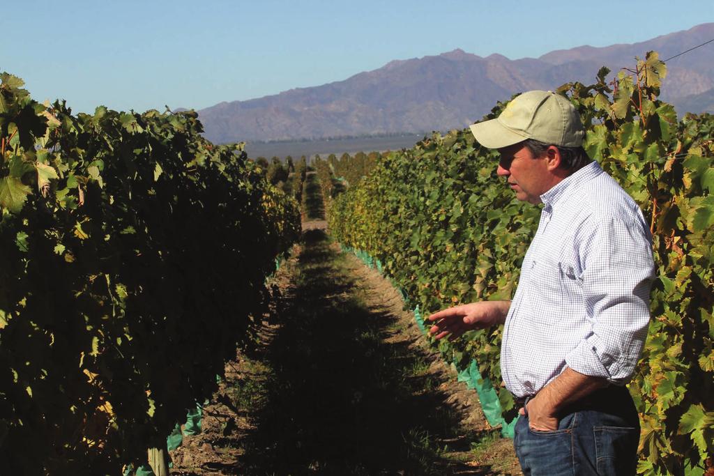 EDY DEL PÓPOLO Edgardo Del Pópolo es uno de los referentes más consultados de la viticultura argentina, actividad en la cual trabaja desde 1992.