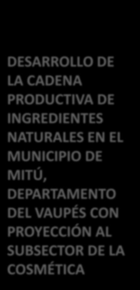 DESARROLLO DE LA CADENA PRODUCTIVA DE INGREDIENTES NATURALES EN EL MUNICIPIO DE MITÚ, DEPARTAMENTO DEL VAUPÉS