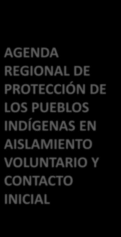 AGENDA REGIONAL DE PROTECCIÓN DE LOS PUEBLOS INDÍGENAS EN AISLAMIENTO VOLUNTARIO Y CONTACTO INICIAL OBJETIVO Contribuir a la protección de los Pueblos Indígenas aislados y en contacto inicial a