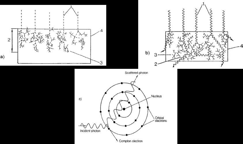 Modo de acción: Efectos físicos Ilustración 2: Interacción de radiacción con materia.