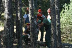 de Gestió Multifuncional de Superfícies Forestals Enginyeria de Forests Erasmus Mundus en Gestió Forestal i de Recursos Naturals al Mediterrani (MEDfOR) Erasmus Mundus European Forestry Incendis
