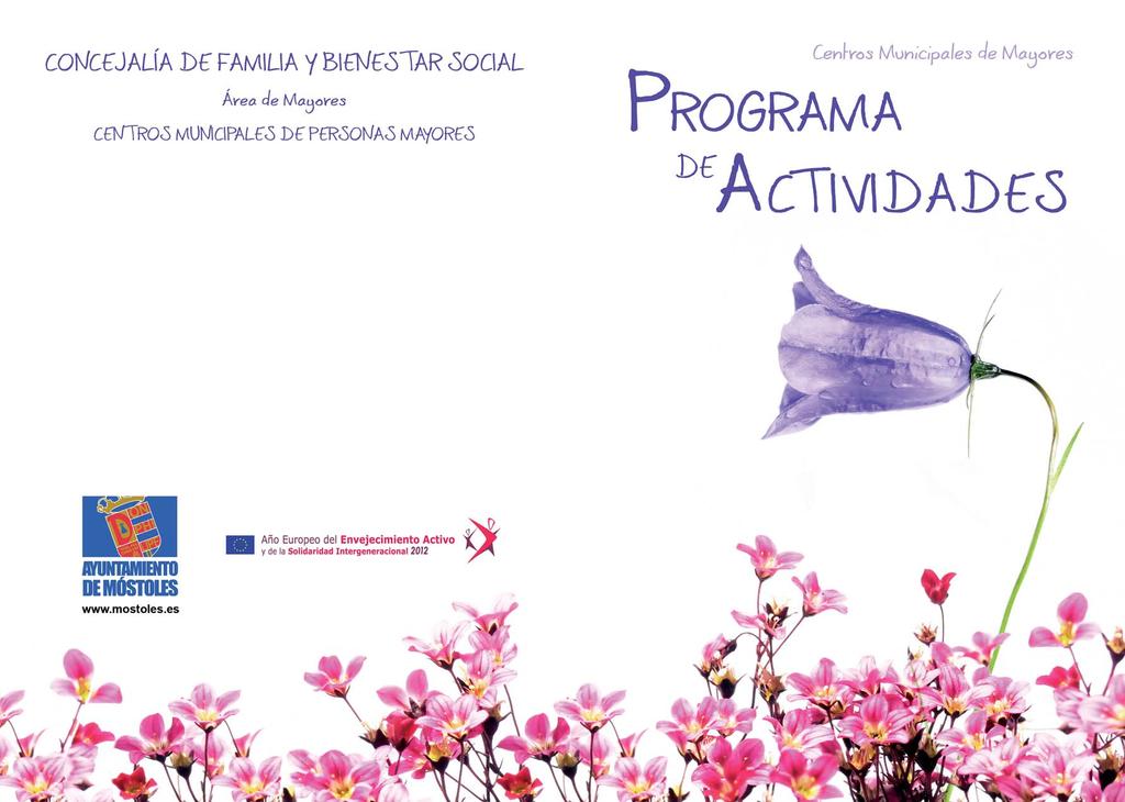 Curso 2012-2013 Ayuntamiento de Móstoles