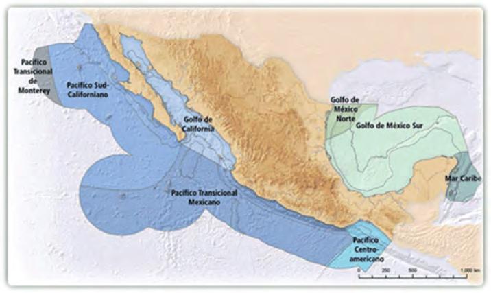 González-Ocampo et al. Recursos Naturales, 37 son Áreas de Protección de Flora y Fauna y 18 Santuarios que suman 25,387,972 ha o el 12.92% del territorio nacional (Tabla 3). Fig. 2. Ecoregiones marinas de México.