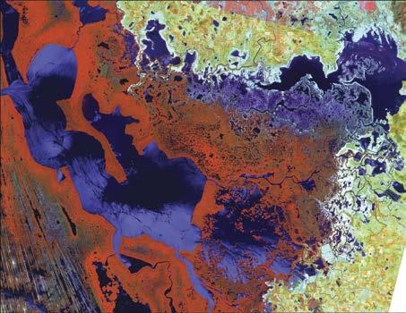 Izquierda: imagen de satélite SPOT 5. Derecha: clasificación del uso de suelo y vegetación. Laguna Agua Brava, Nayarit.