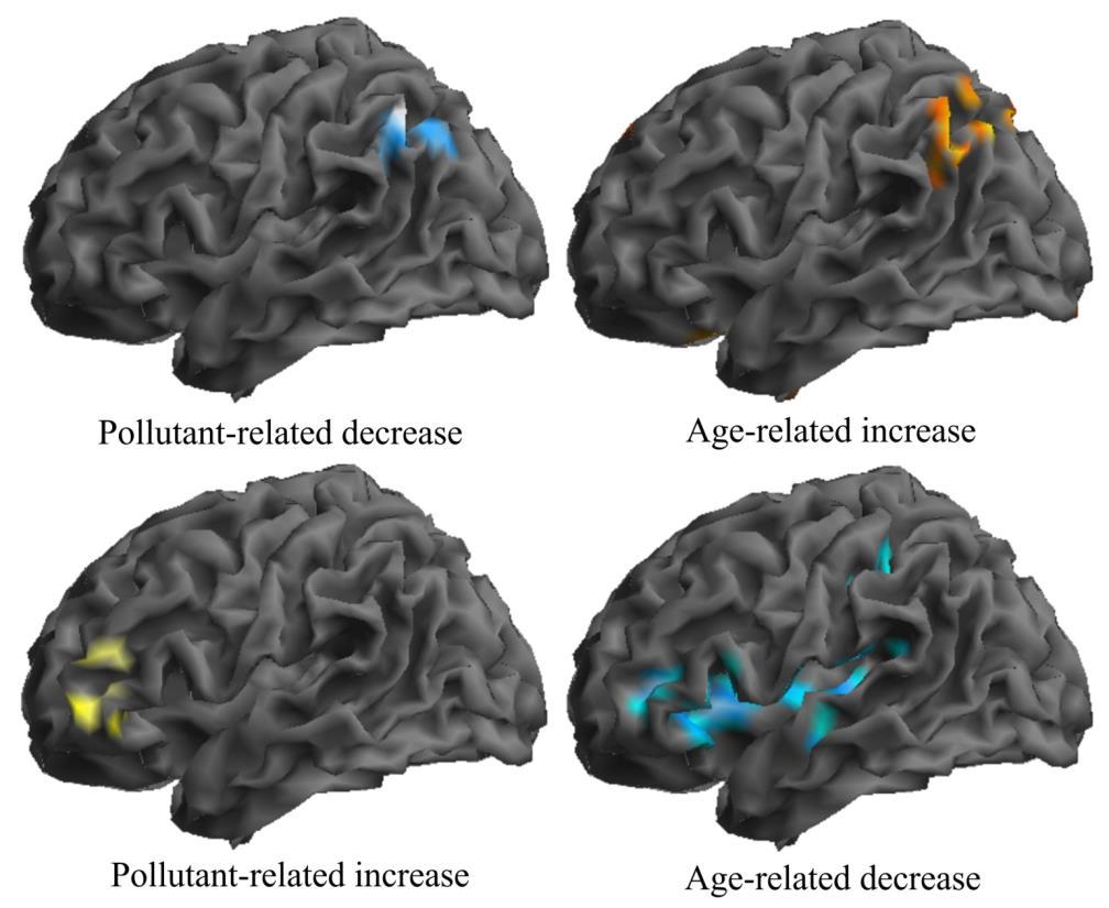 Brain function development and imaging in 2750 school children by low ( ) and