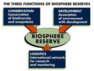 Las Reservas de Biosfera realizan 3 funciones complementarias: Funciones Conservación