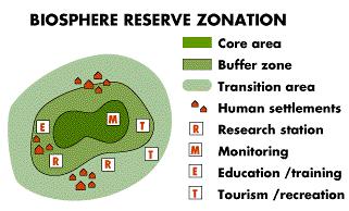 Las Reservas de Biosfera se dividen en 3 zonas interrelacionadas: Estructura Núcleo Tampón Transición La zonificación se aplica de diferentes